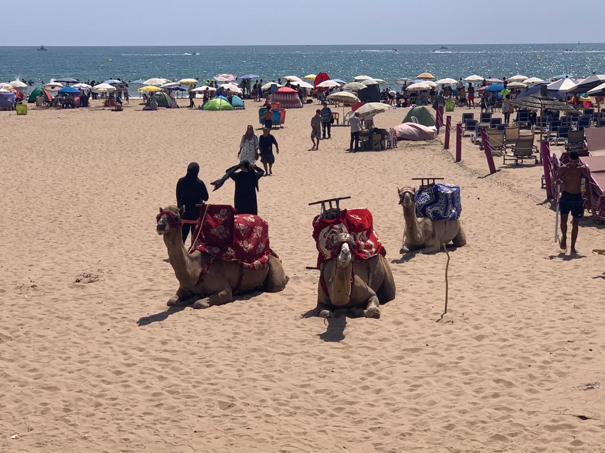Luxury Apartment In Agadir Bay 외부 사진